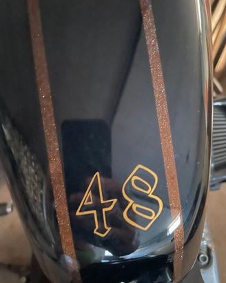 Harley-Davidson 1200 Forty-Eight - Custom unica