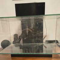 acquario fluval edge