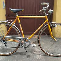 Bicicletta da Uomo 