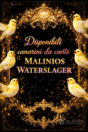 Malinios waterslager