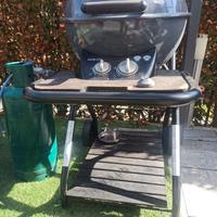Barbecue Weber Ascona 570 G
