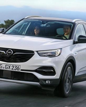 Ricambi opel grandland X