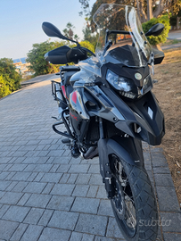 Benelli trk502x