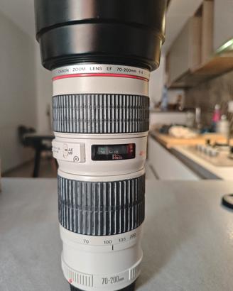 Canon ef 70 200 F4 L 