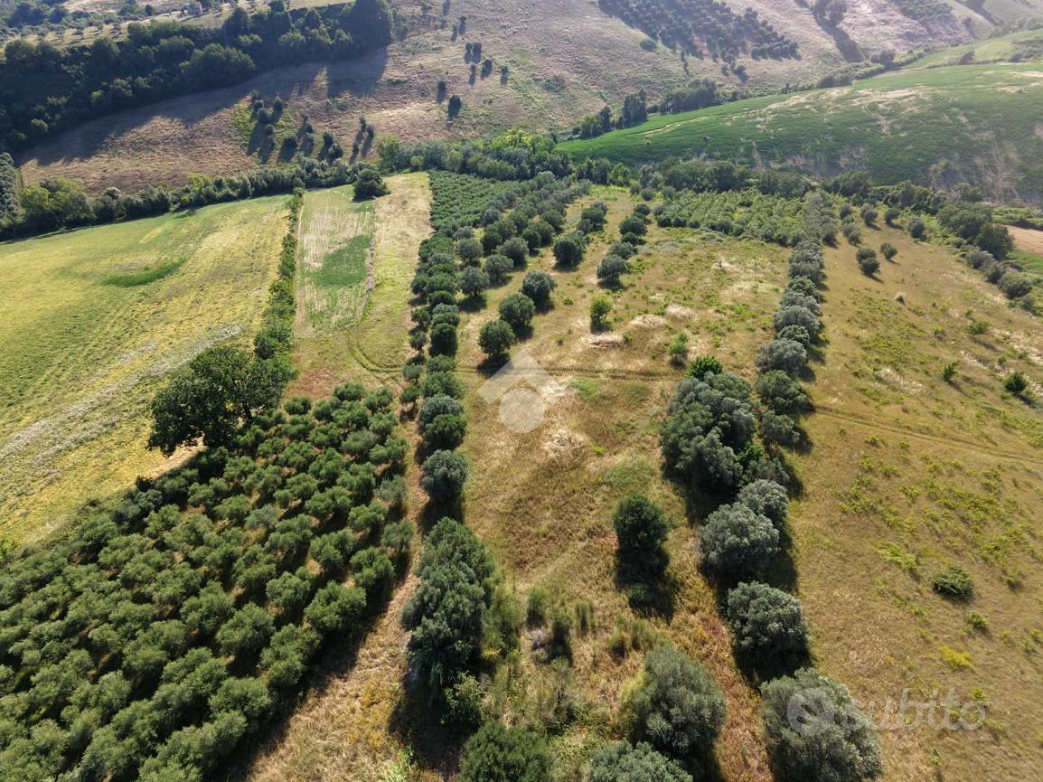 TERRENO A ROSETO DEGLI ABRUZZI - Vista 4