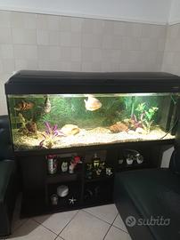 acquario 300 litri