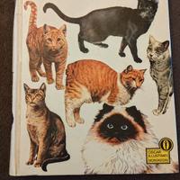 libri  wintage il gatto