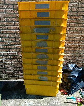  13 contenitori plastica verdi e resistenti 23cm