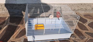 gabbia x cavie, coniglietti