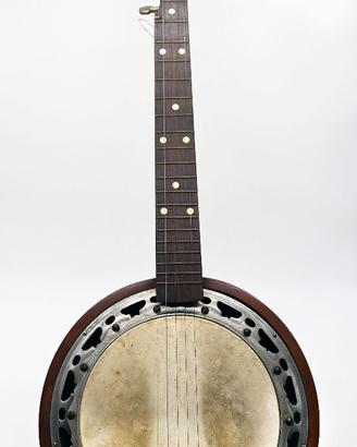 Banjo 5 corde