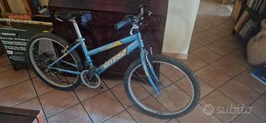 Bicicletta Nuzzi Mountain Bike 