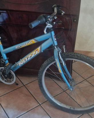 Bicicletta Nuzzi Mountain Bike 
