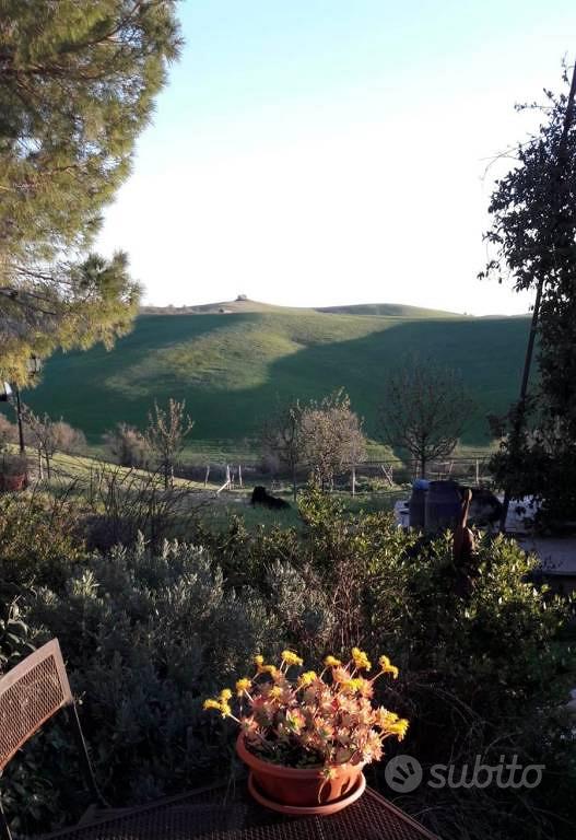 Rustico / Casale di 210 m² con più di 5 locali a T - Vista 2