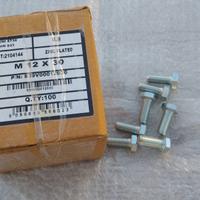 bulloni 12 x30 ma zincati 