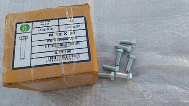 bulloni 12 x30 ma zincati 