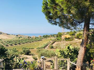 Casa di campagna con terreno vista mare