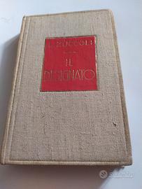 Libro Il designato