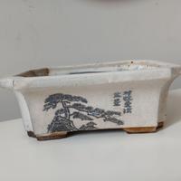 Vaso per bonsai