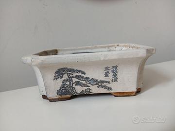 Vaso per bonsai