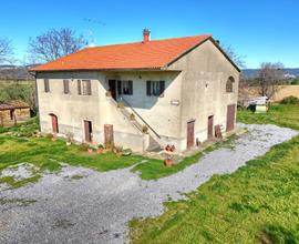 Campiglia M.ma- Casa colonica con HA 10 di terreno