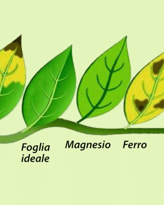 Fertilizzanti per acquario