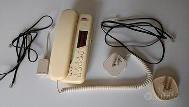 telefono Insip  segreteria