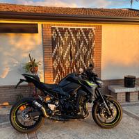 Kawasaki Z 900 - 2024
