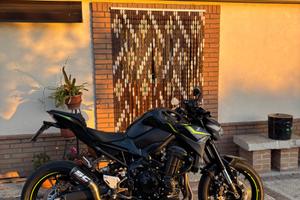 Kawasaki Z 900 - 2024