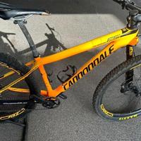 Bicicletta