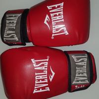 Guantoni da Boxe EVERLAST da 16oz