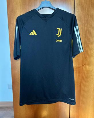 maglia allenamento juve