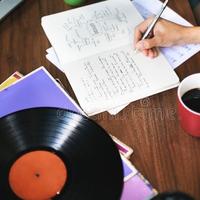Music connoisseur / blogger / LP review