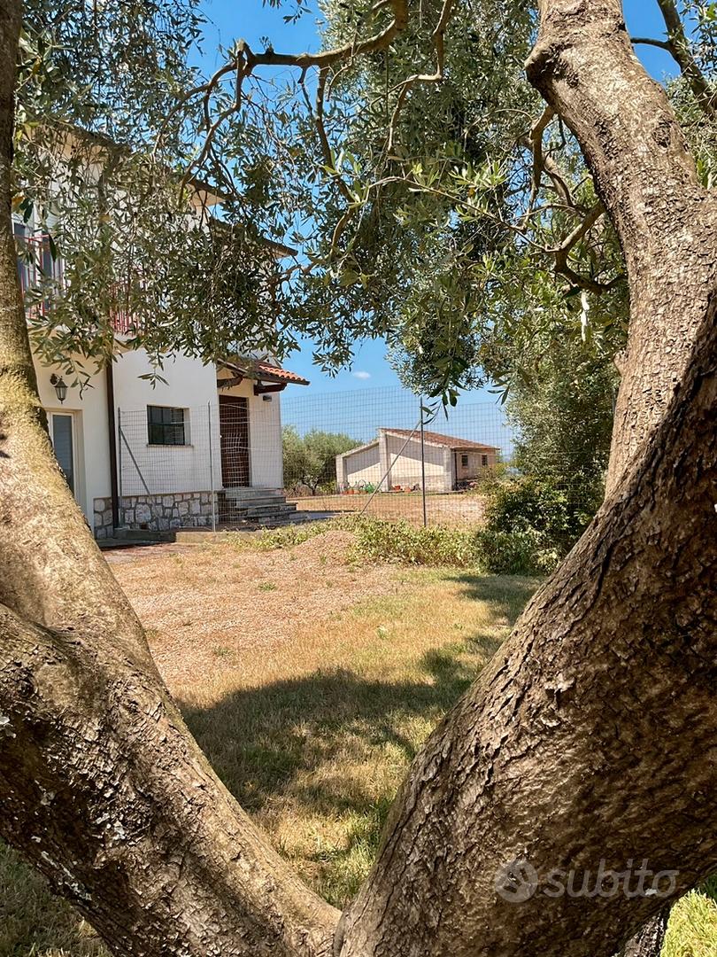 Casale con giardino, annesso e 5ha di seminativo - Vista 4