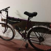 bici da passeggio 