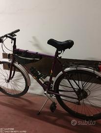 bici da passeggio 