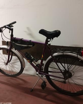 bici da passeggio 