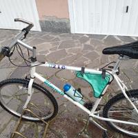 Bici (Bianchi)