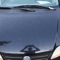 FIAT IDEA 2005 - COFANO ANTERIORE