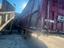 Immagine 7
