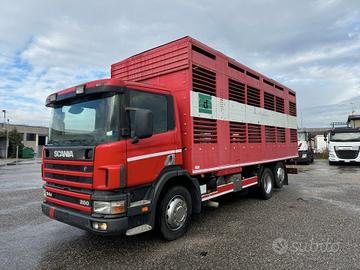 SCANIA 94 D 260 3 ASSI 6X2 TRASPORTO ANIMALI