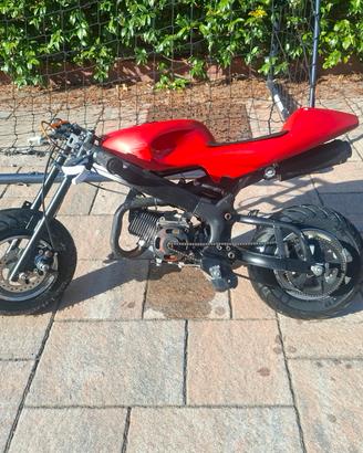 minimoto