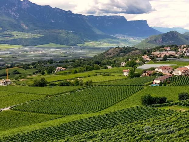 Nuovo quadrilocale con terrazza a Montagna