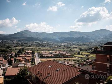 Bilocale luminosissimo Colonna (RM)