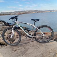 bicicletta Mountain bike da corsa