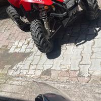 Polaris scrambler 330