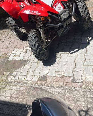 Polaris scrambler 330