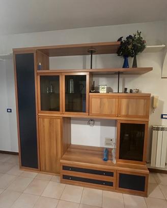 Libreria - mobile tv