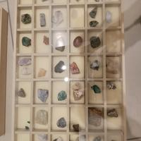 collezione di minerali e fossili