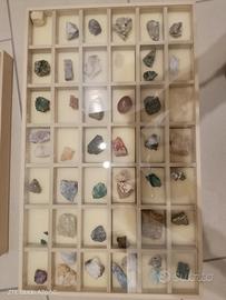collezione di minerali e fossili