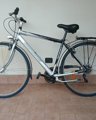 Bicicletta Streetland Montana City Bike